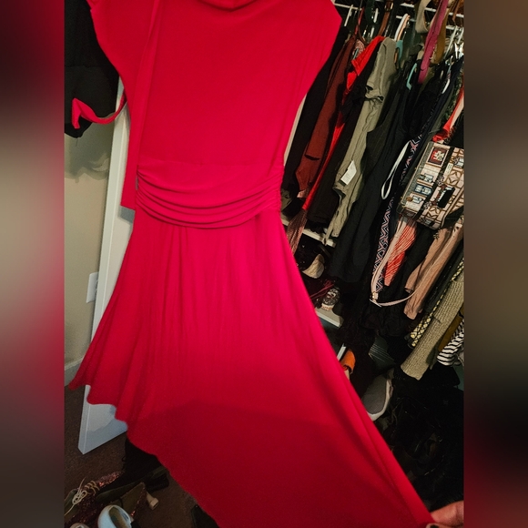 Modcloth Swing Dress - Picture 5 of 7